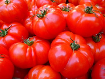 legumes tomates rouges