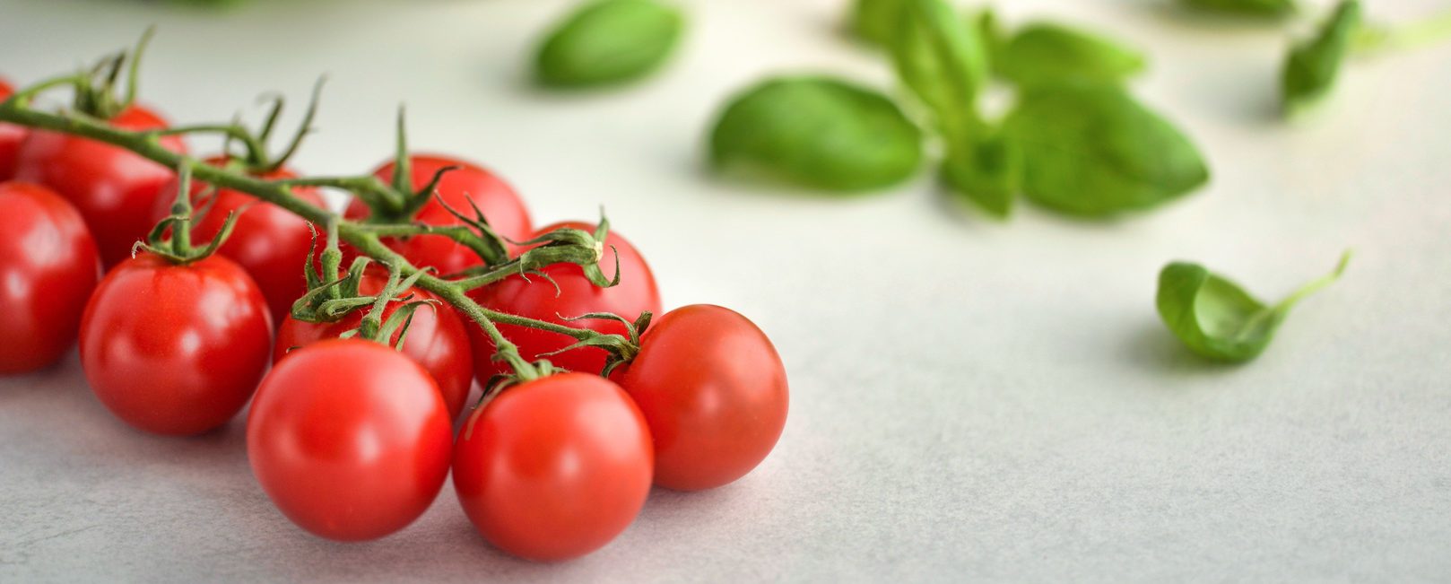 Sauce tomate simple (façon Etchebest) Reverotte